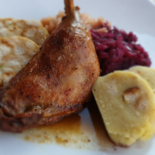 Svatomartinské hody