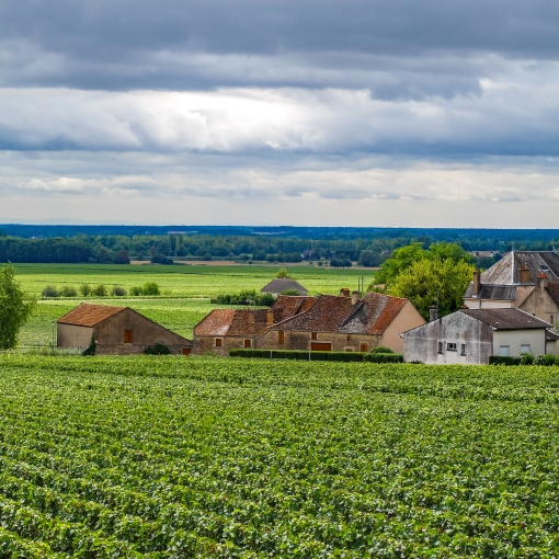 Let do Burgundska